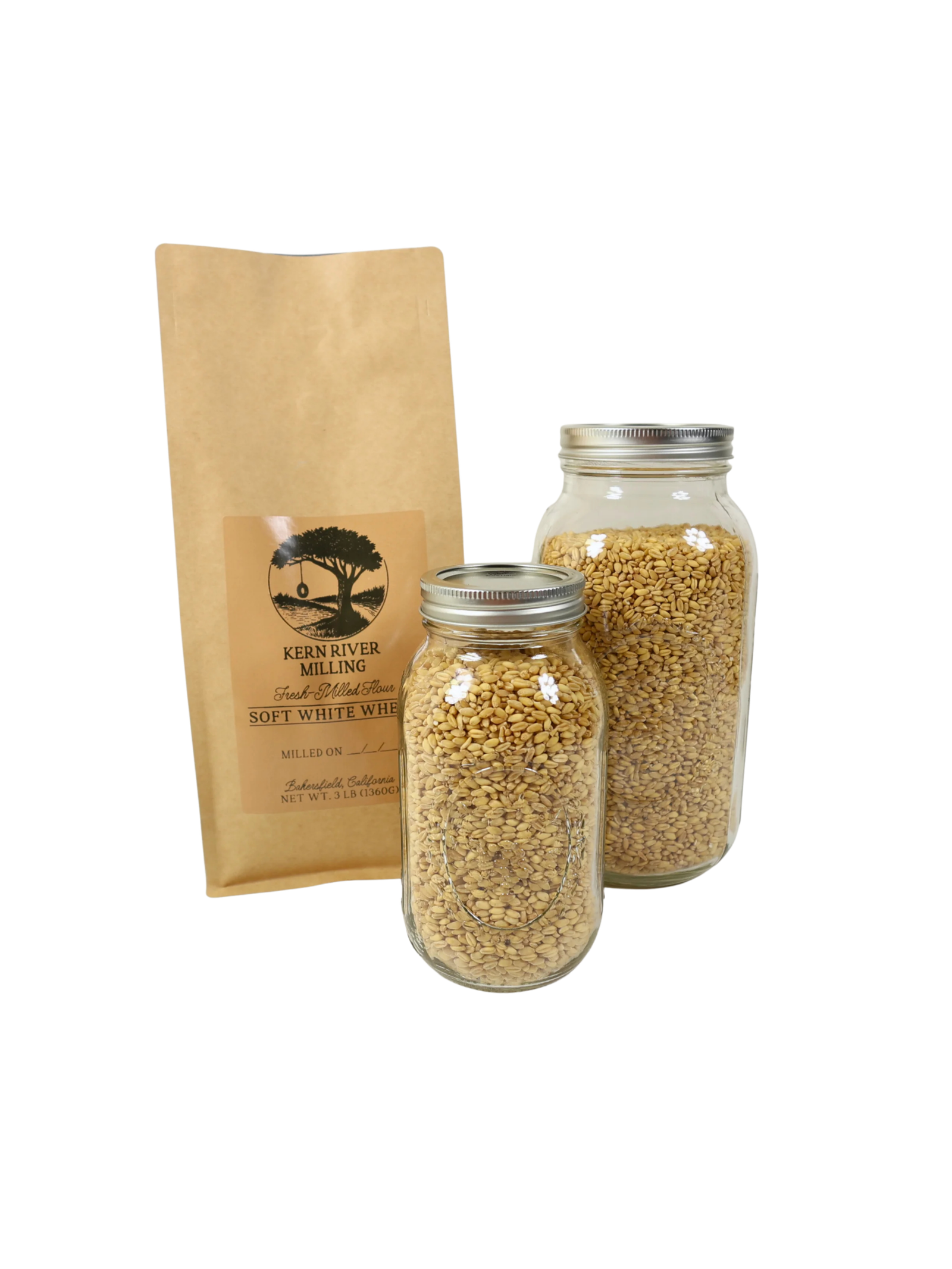 Soft White Wheat - Image 4