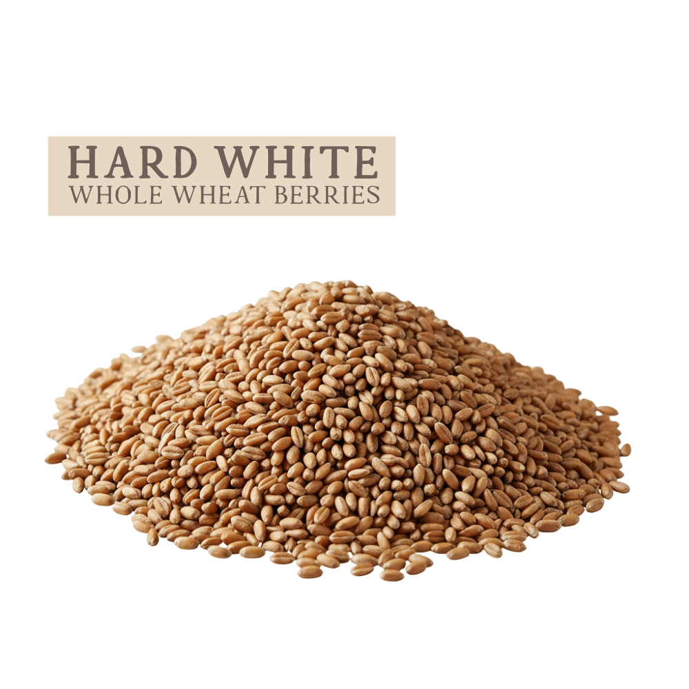 Hard white whole wheat berries