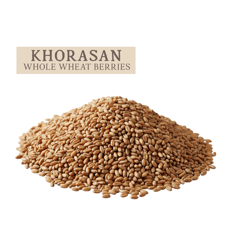 Khorasan Whole Wheat Berries