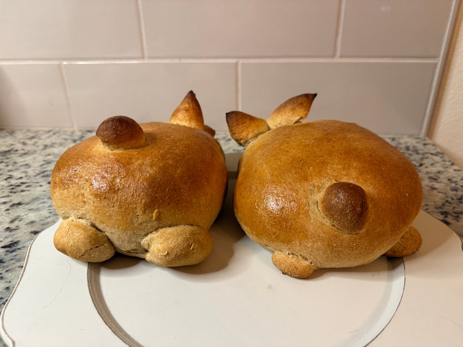 Hard White Wheat Fresh Milled Flour - Image 5