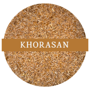 Khorasan (Whole Wheat Berries)