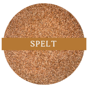 Spelt (Whole Wheat Berries)