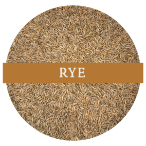 Rye (Whole Wheat Berries)